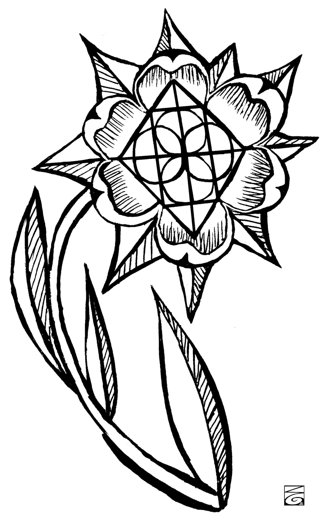 Image 3