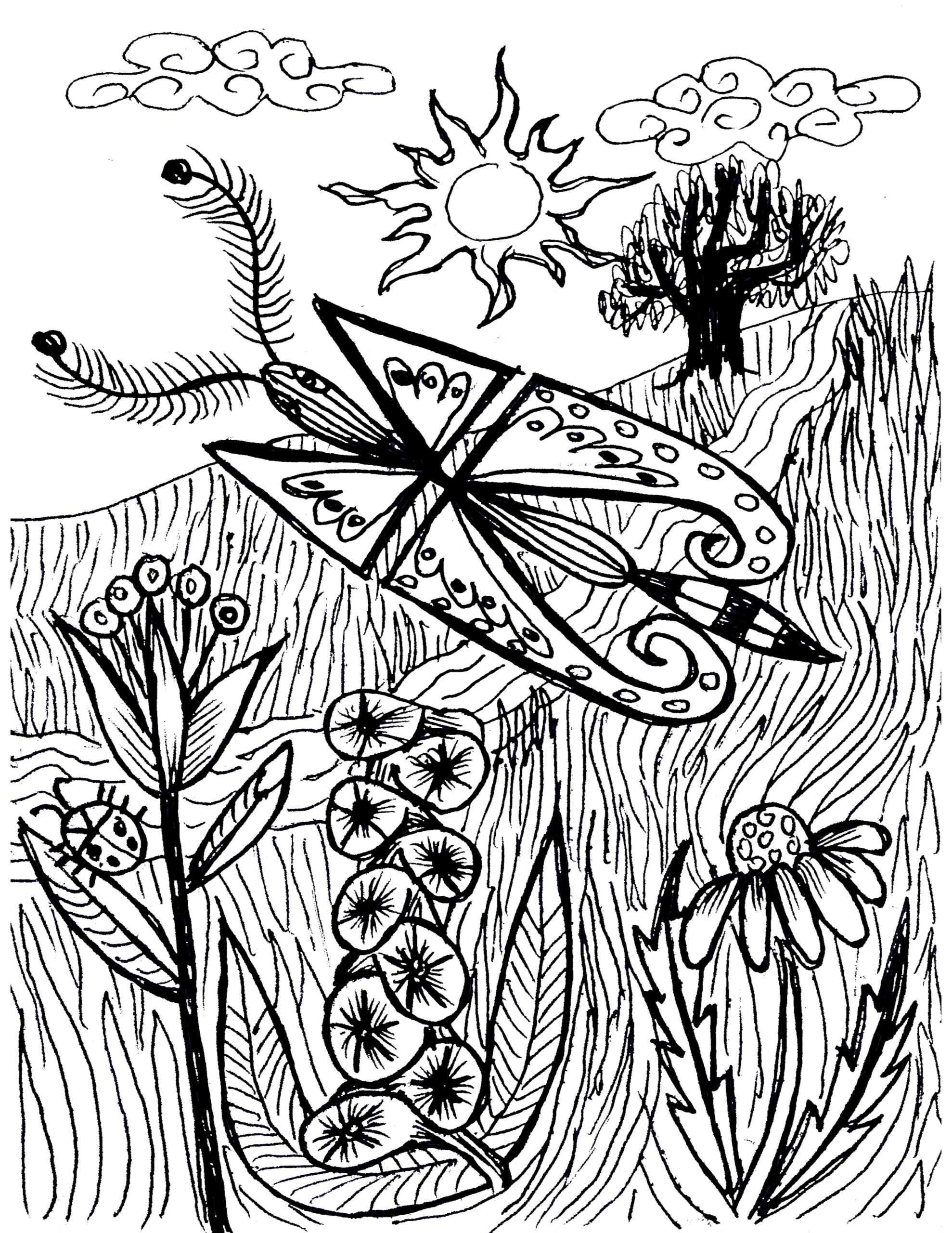 Image 2